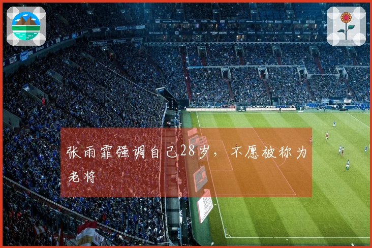 张雨霏强调自己28岁，不愿被称为老将